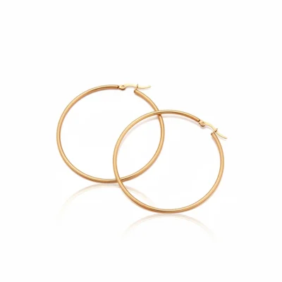 Puces d'oreilles or prix Maroc